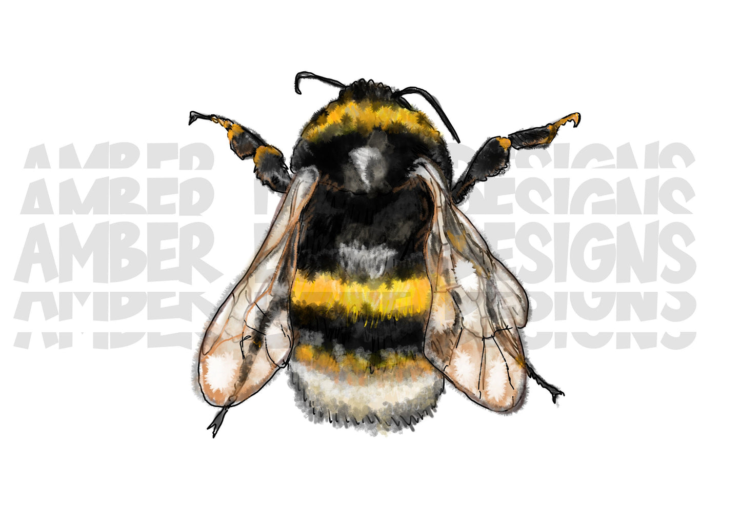 Bumble bee PNG |   Bee PNG Watercolor Bee |  Hand Drawn | Sublimation PNG |