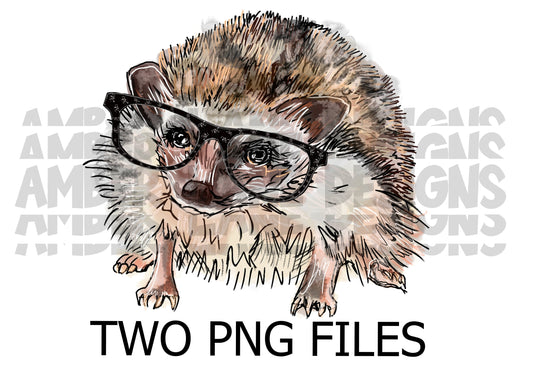 Hedgehog with glasses PNG | Hand Drawn | Sublimation PNG |