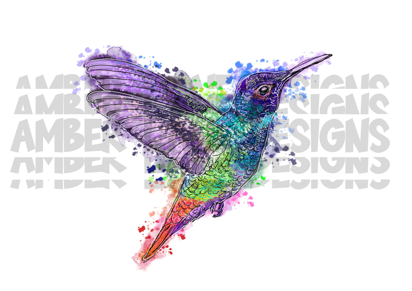 Hummingbird PNG | Watercolor| Hand Drawn | Sublimation PNG |