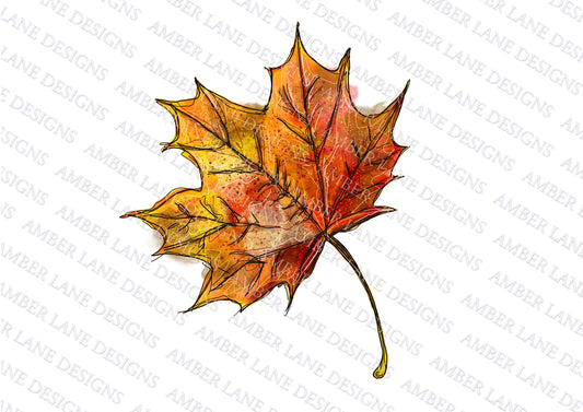 Maple Leaf png file ,Watercolor Autumn Leaf . Sublimation graphics, Fall Colors