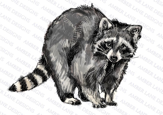Raccoon Watercolor PNG  File, Hand Drawn , Sublimation PNG ,