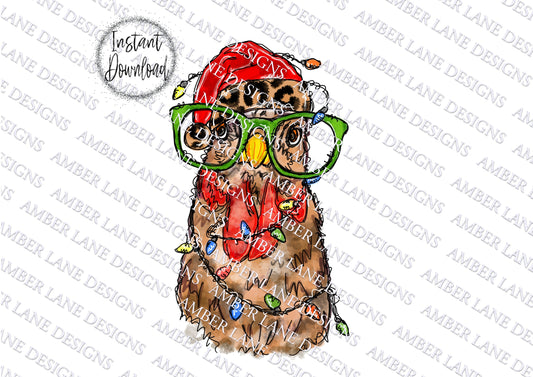 Christmas Chicken With Leopard Santa hat and Christmas Lights PNG  | Sublimation PNG |