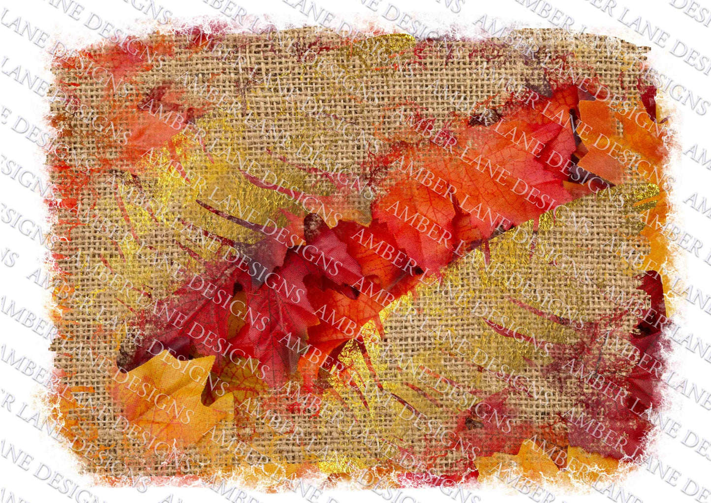 Autumn/ Fall maple leaves, gold, distressed Background, frame,  png file