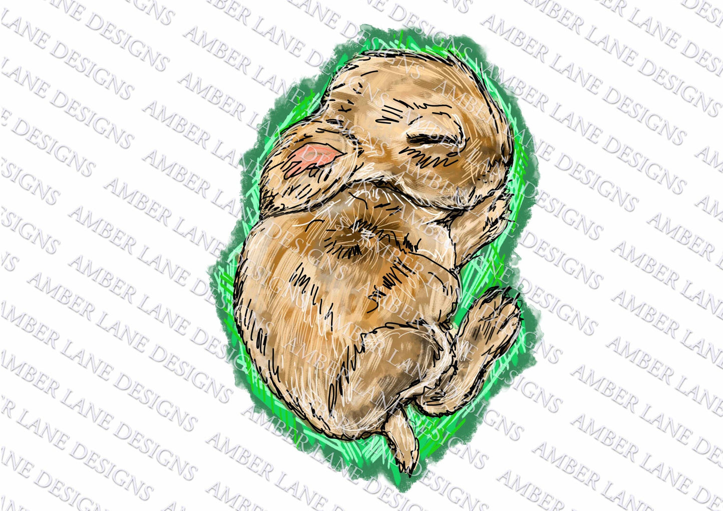 Baby Easter Bunny Sleeping , Happy Easter png file, Sublimation , PNG Design , Hand Drawn