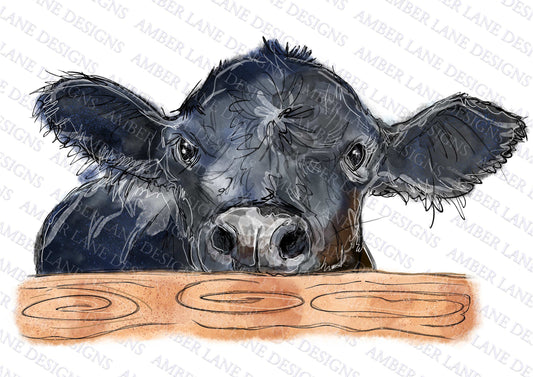 Black Angus peek-a-boo cow, Hand Drawn watercolor, Sublimation PNG.