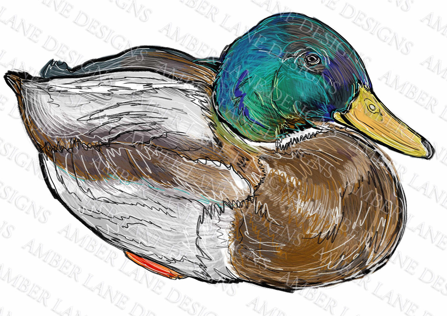 Mallard Duck png digital file