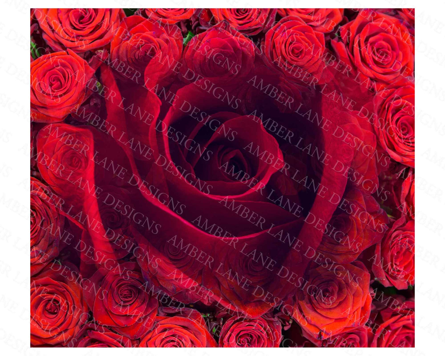 Red Roses 20oz SKINNY TUMBLER straight wrap 3 jpeg files (not seamless)